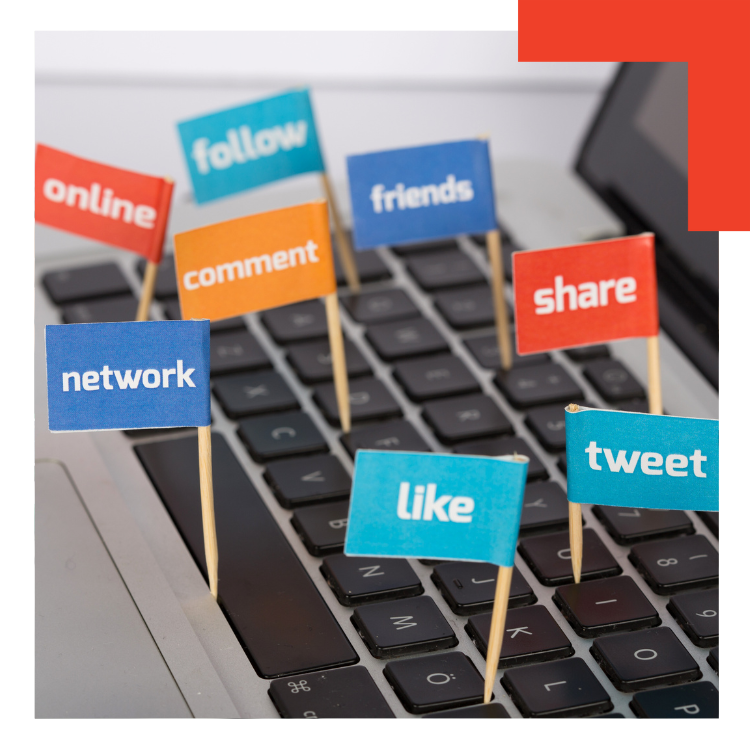 Industry Expert Social Media